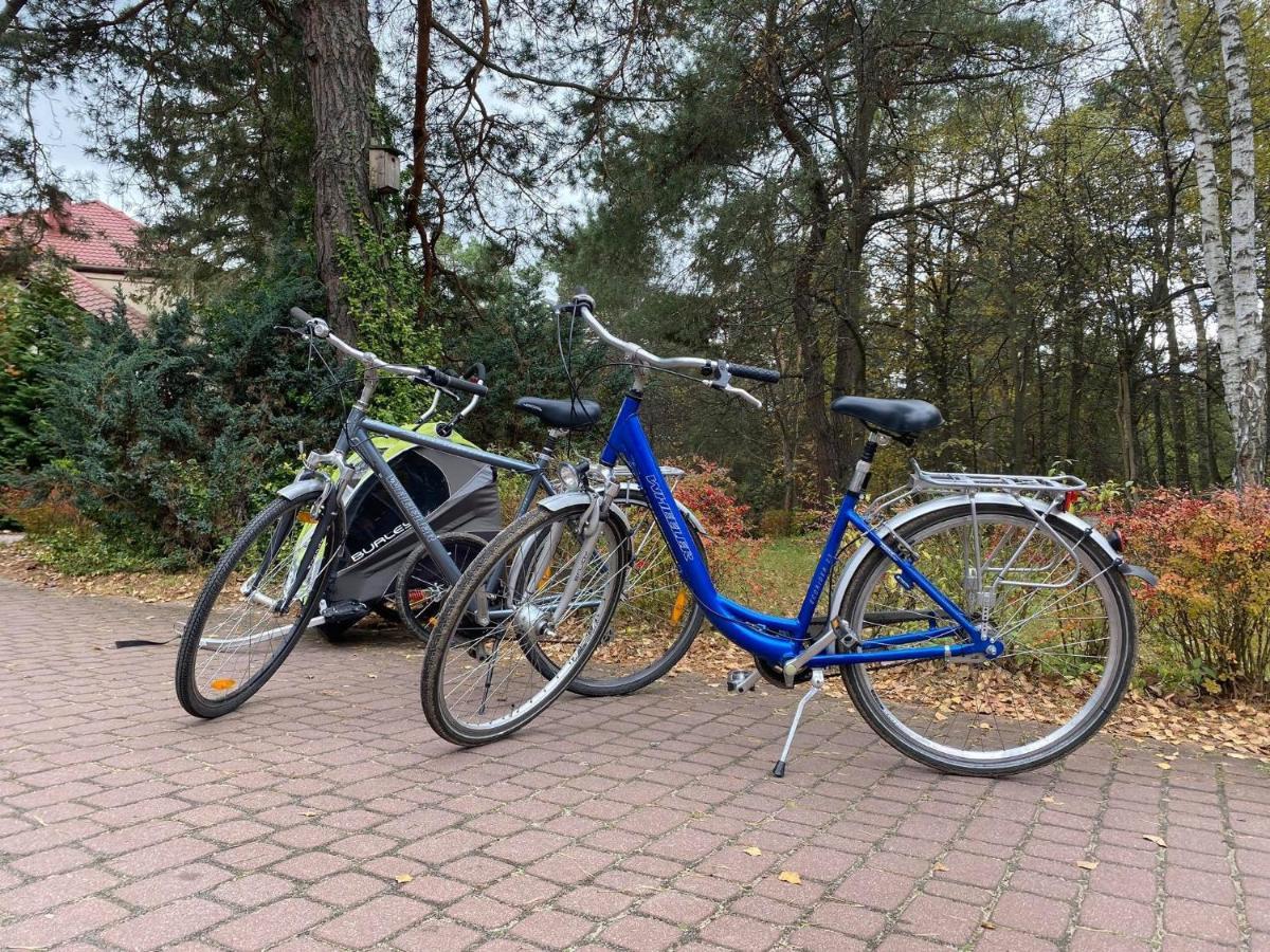 Park Rekreacyjno-Biznesowy Las Woda Wilga Esterno foto