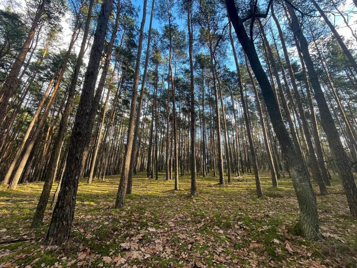 Park Rekreacyjno-Biznesowy Las Woda Wilga Esterno foto