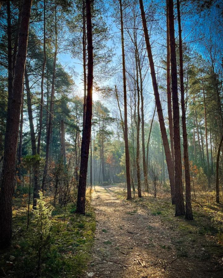 Park Rekreacyjno-Biznesowy Las Woda Wilga Esterno foto