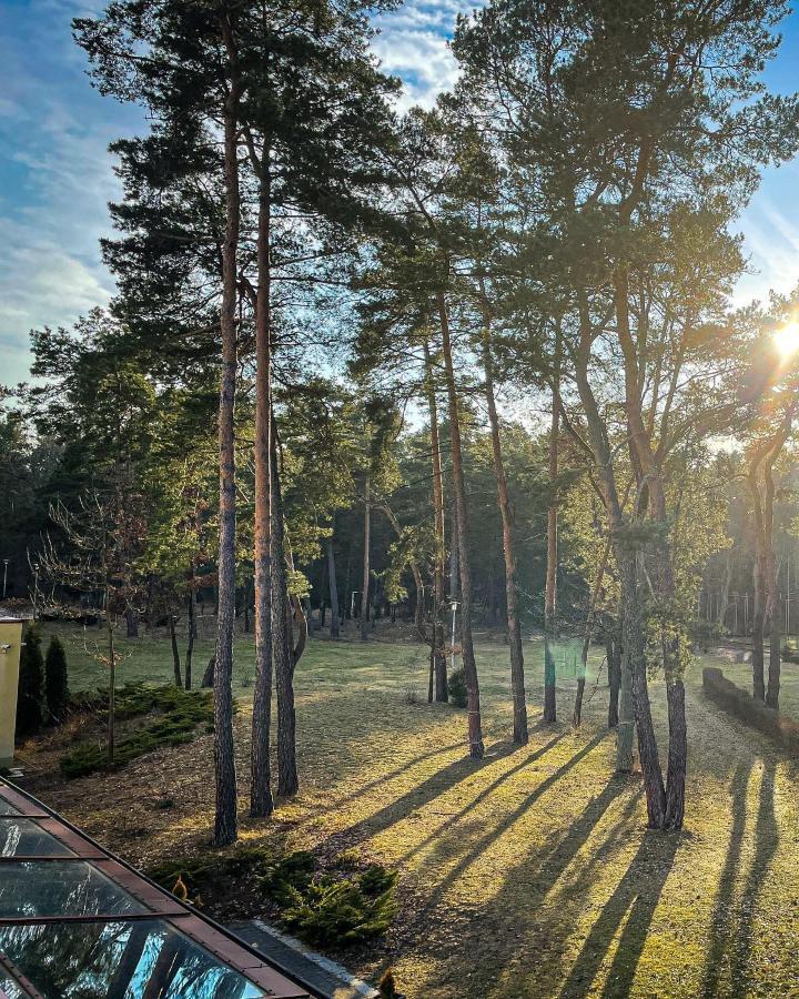 Park Rekreacyjno-Biznesowy Las Woda Wilga Esterno foto